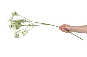 artificial-blooming-gypsophila-40.