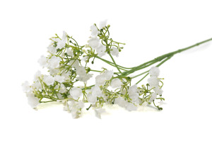 artificial-blooming-gypsophila-40.