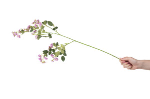 mini-roses-sauvages-artificielles-40.