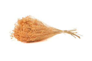 broom-bloom-sec-12.