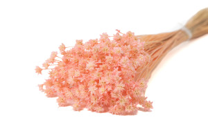 dried-hill-flower-12.