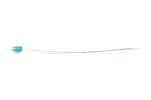 lagurus-sec-12.