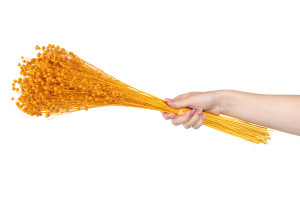 getrocknete-lein-12.