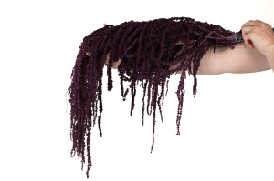 preserved-amaranthus-8.