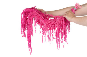 preserved-amaranthus-8.