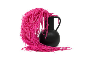 preserved-amaranthus-8.