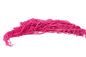 preserved-amaranthus-8.