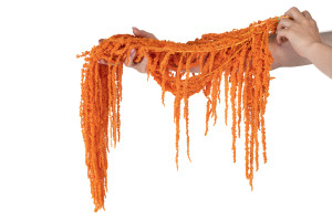 preserved-amaranthus-8.