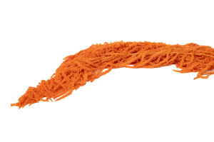 preserved-amaranthus-8.