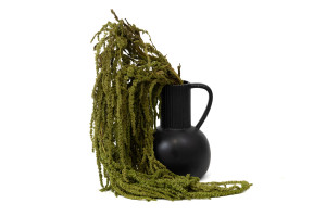 stabilisierter-amarant-8.