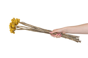 stabilisierter-trommelstock-8.
