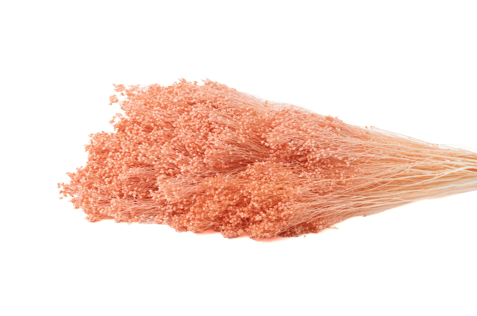 broom-sec-8