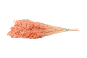 broom-sec-8.