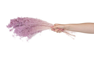 broom-stabilise-8.