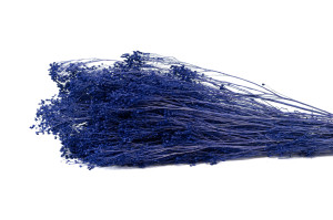 preserved-broom-8.