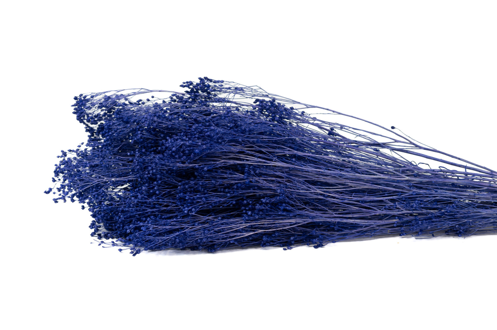 preserved-broom-8