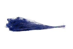 preserved-broom-8.