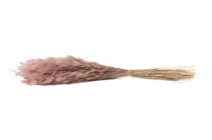 trockene-plumeau-gras-8.