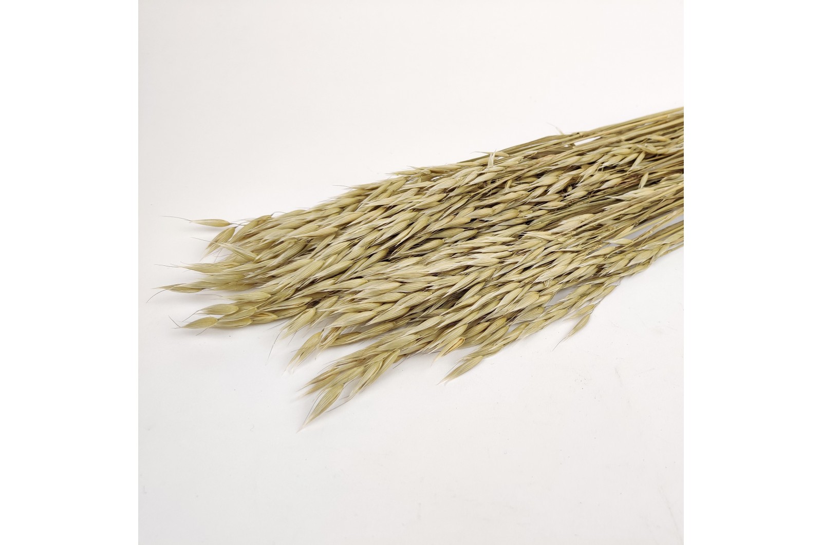 Dried cultivated oat natural