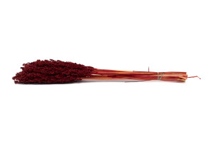 dried-sorghum-8.