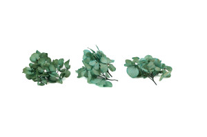 preserved-sprig-hydrangea-14.