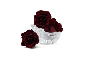 tetes-de-roses-stabilisees-s-36.