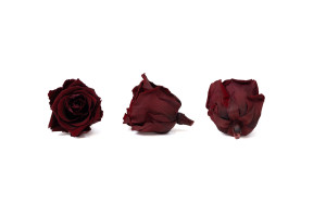 preserved-rose-heads-s-36.