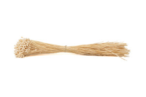 trockene-jazilda-8.