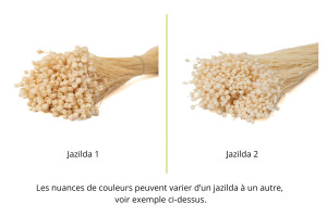 dried-jazilda-8.