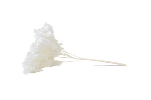 stabilisierte-hortensien-anna-19.