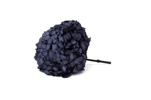 stabilisierte-hortensien-o-18-25-cm-9.