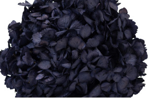 stabilisierte-hortensien-o-18-25-cm-9.