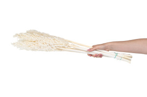 dried-sorghum-8.