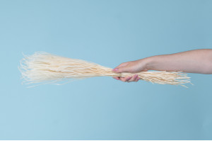 getrocknetes-ouro-gras-8.