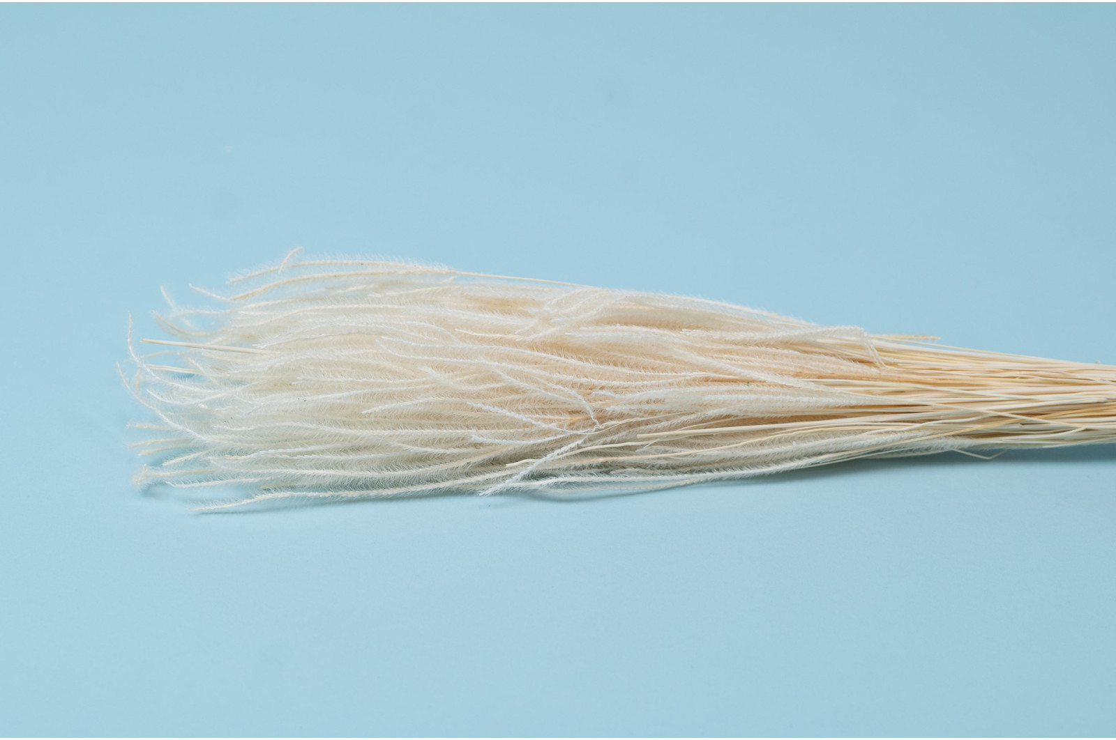 getrocknetes-ouro-gras-8