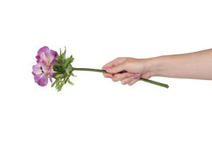 anemone-artificielle-41.