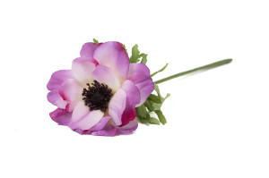 anemone-artificielle-41