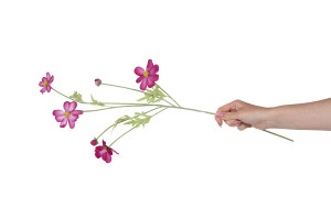 cosmos-artificiel-41.