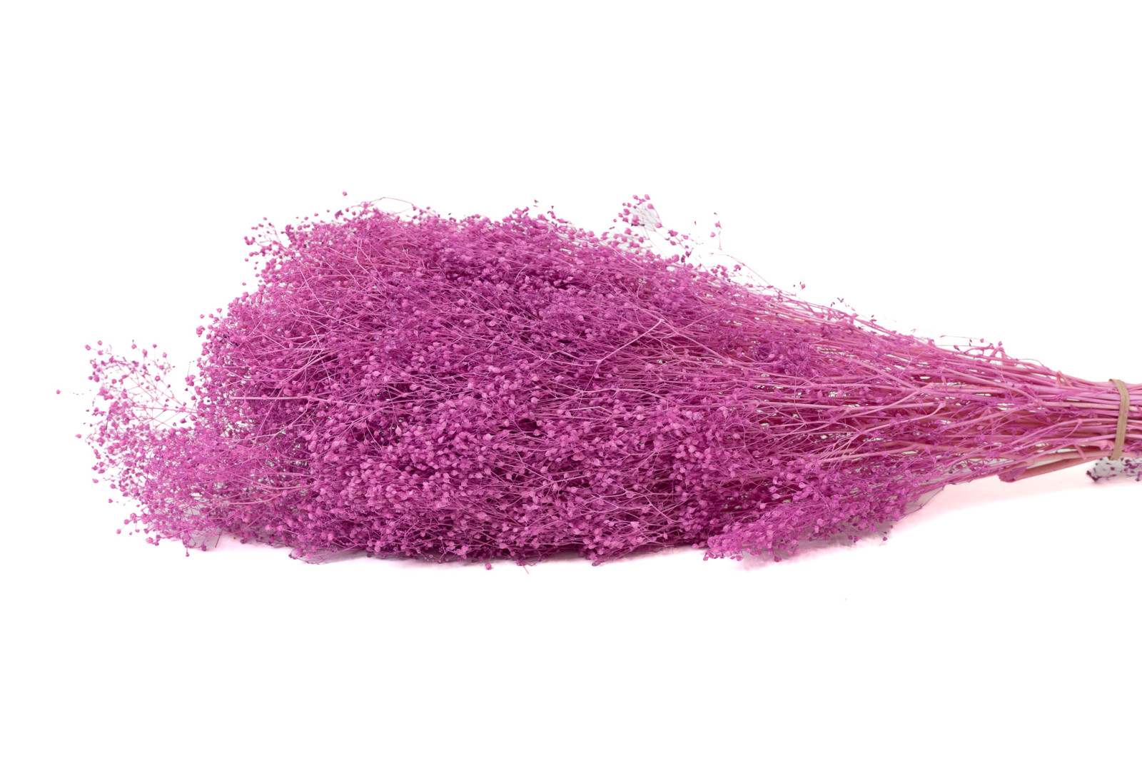 stabilisiertes-mini-gipskraut-8