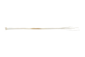 jazilda-sec-8.