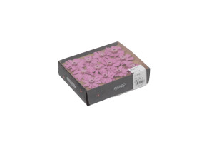 zinnia-stabilise-30.