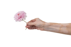 dahlia-stabilise-30.