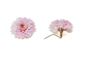 dahlia-stabilise-30.
