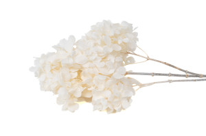 stabilisierte-grandiflora-hortensien-30