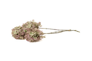 stabilisierte-grandiflora-hortensien-30.