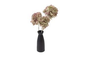 stabilisierte-grandiflora-hortensien-30.