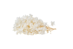 preserved-quercifolia-hydrangea-branch-30