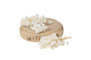 preserved-quercifolia-hydrangea-branch-14.