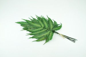 preserved-argyrea-fern-green.