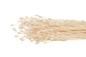 dried-small-popy-18.